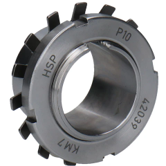 Grauer Ring mit Zähnen und Beschriftung HSP, P10, 42039, KM7